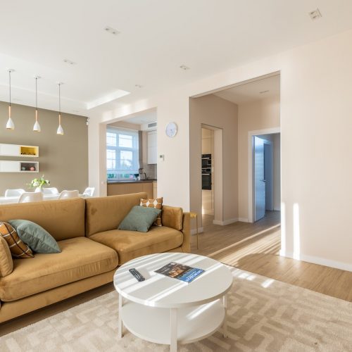 pexels-max-rahubovskiy-7546716